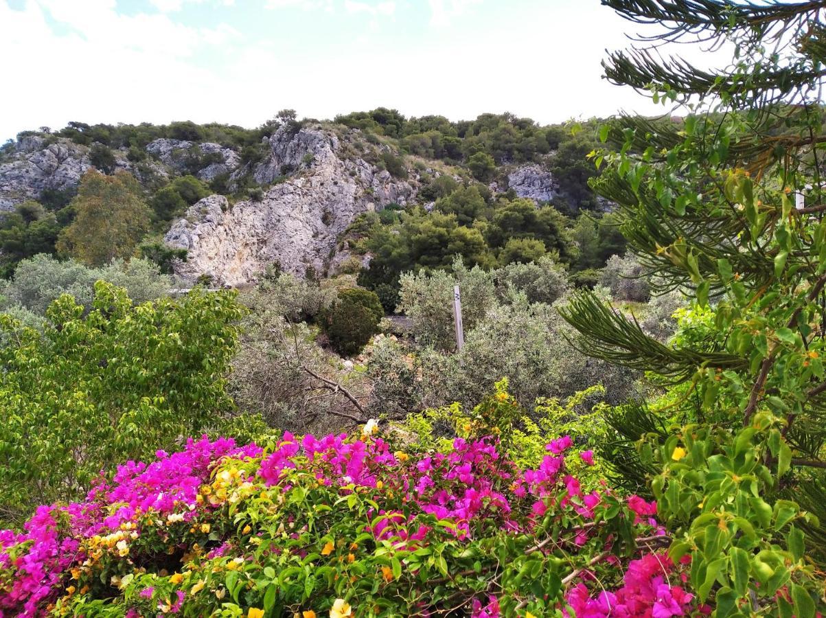 Skála Evgenia Rooms מראה חיצוני תמונה
